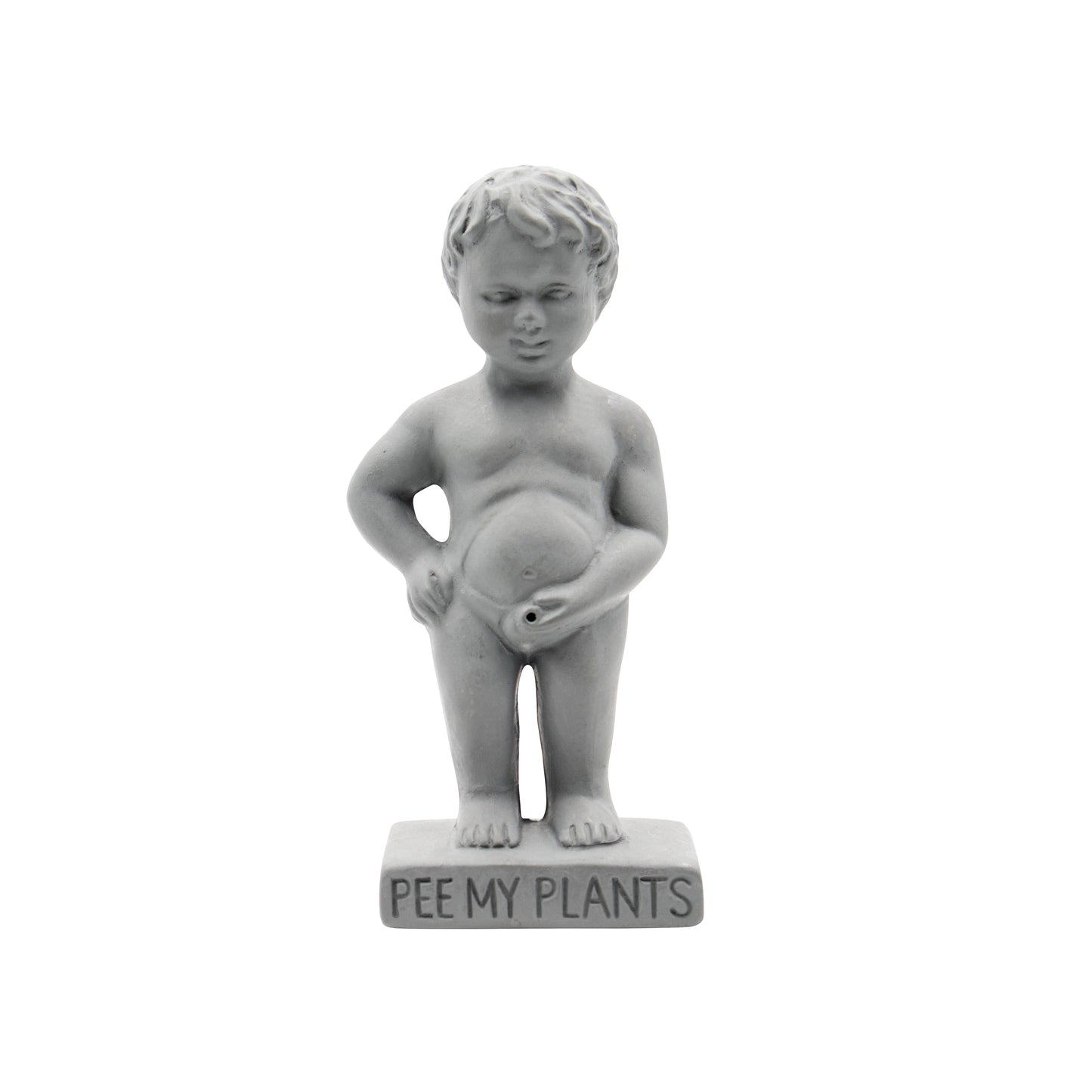 Pee My Plants Watering Decoration