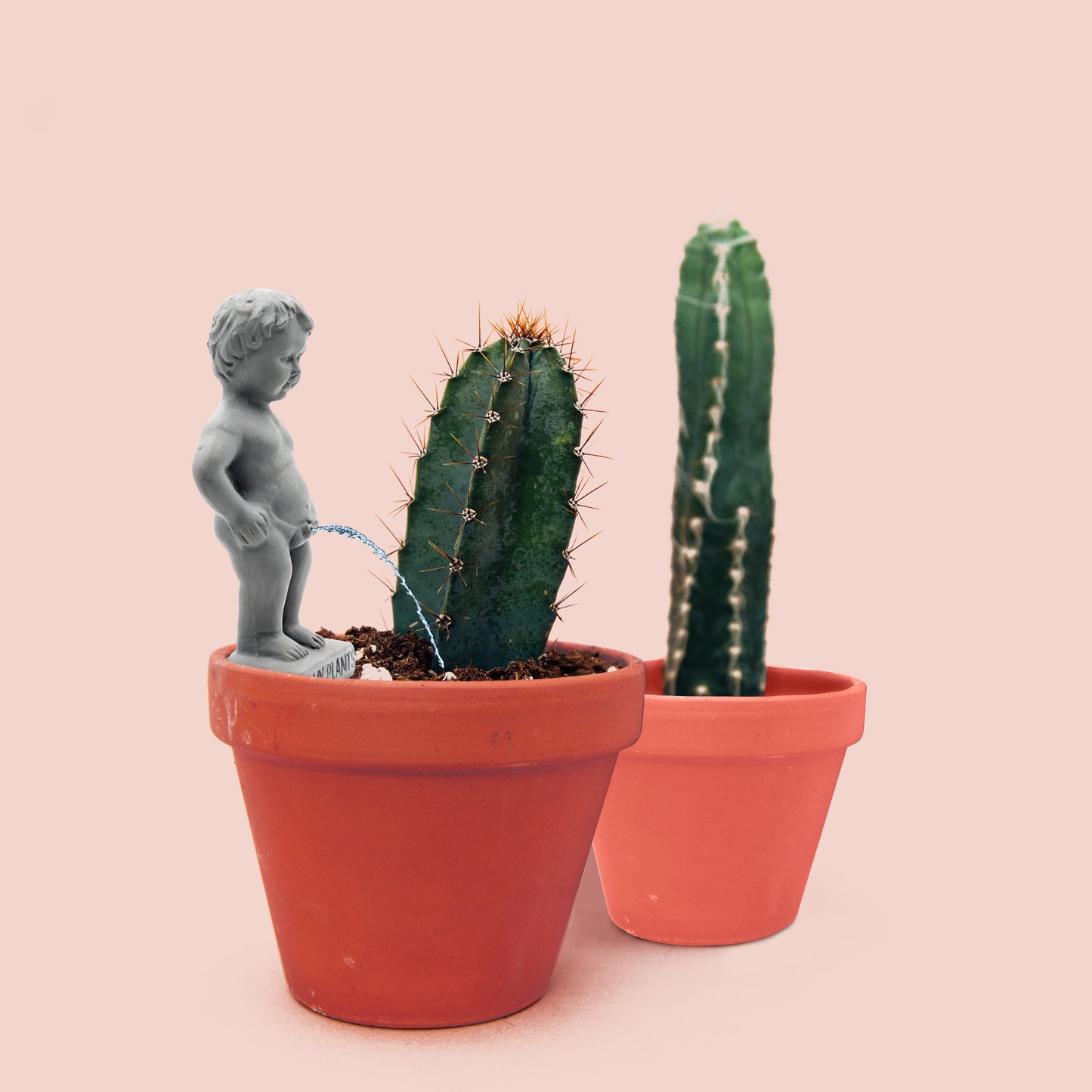 Pee My Plants Watering Decoration