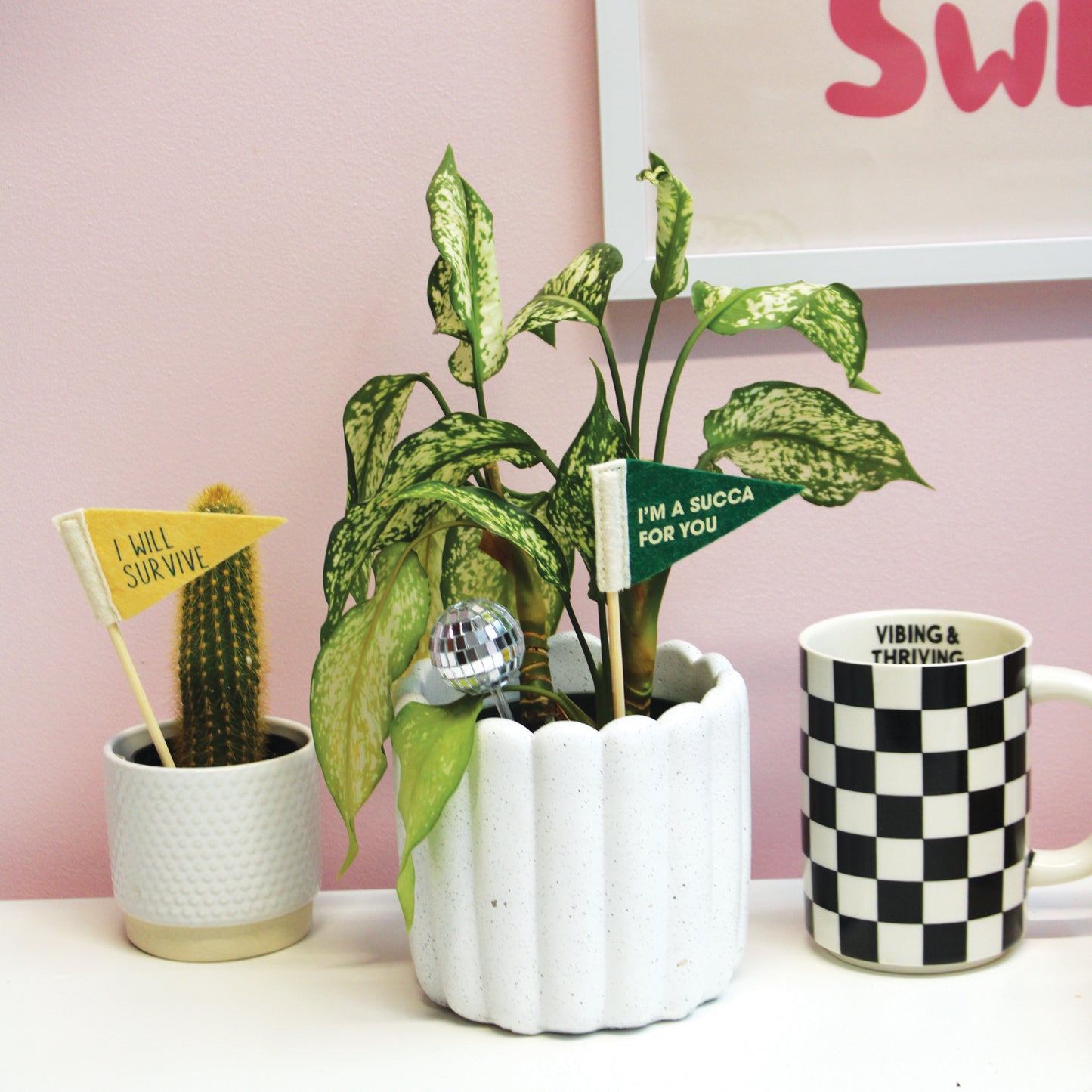 Plant Flags - 5 Pack