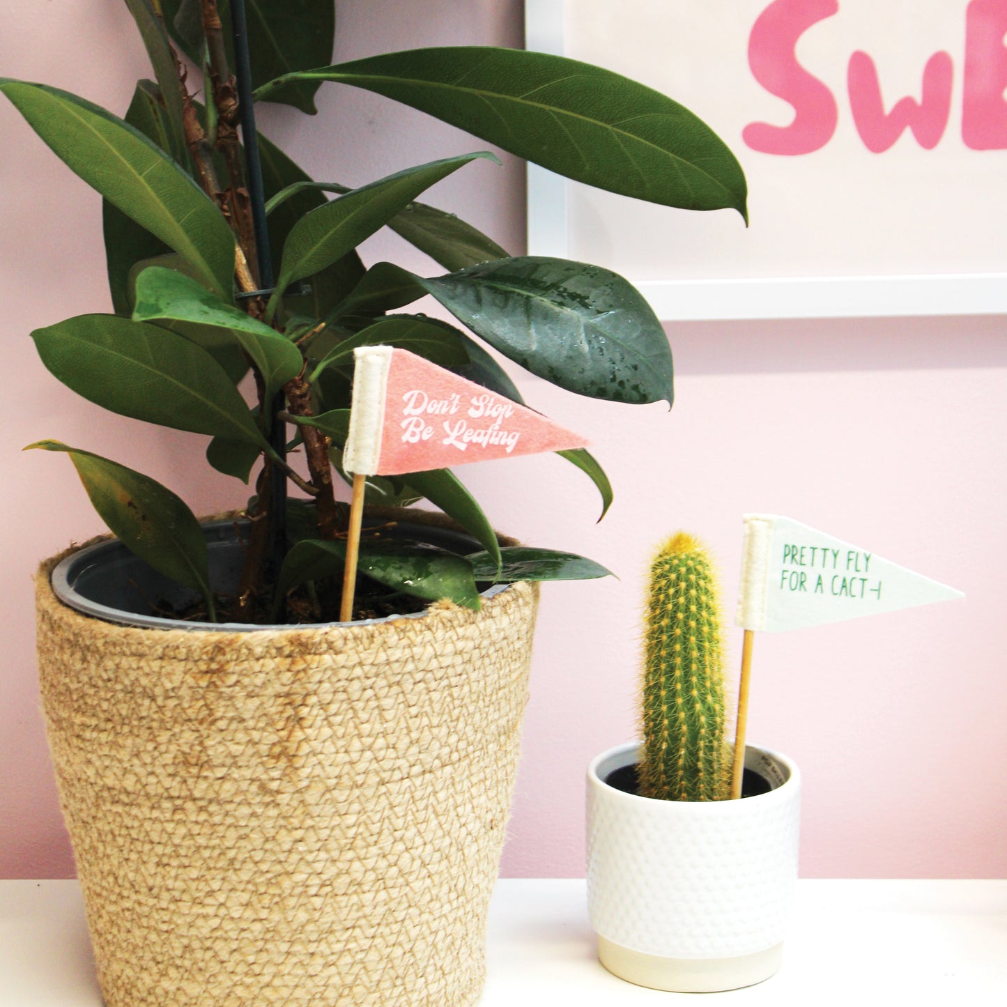 Plant Flags - 5 Pack
