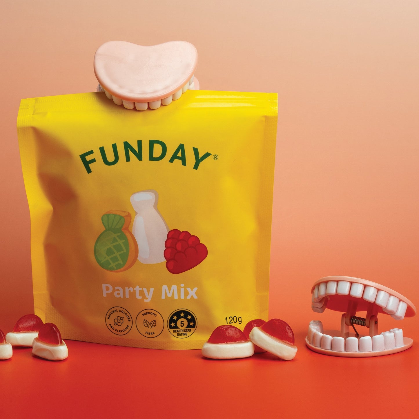 Denture Grip Bag Clip